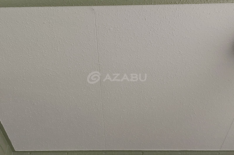 軒天井（玄関前）